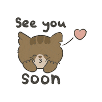 zik2life see you soon see u soon zik2life zikzik Sticker