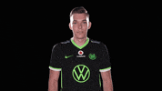 Sport Soccer GIF by VfL Wolfsburg