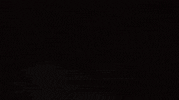 Actress Omg GIF by Warner Bros. Deutschland