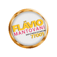 flaviomantovaniooficial flaviomantovani deputadoflaviomantovani Sticker