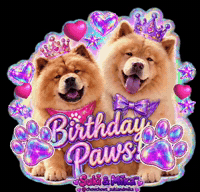 Chow Chow Birthday GIF