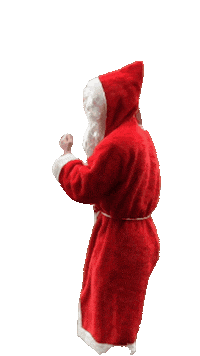 Happy Christmas Sticker by FC Thun