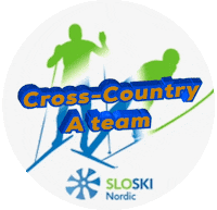 Crosscountry Sticker by SloSki
