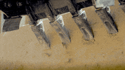 Sand Castle Cat GIF by Caterpillar Inc.