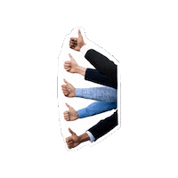 Daumen Hoch Thumbs Up Sticker by Bodensee Consulting e.V.