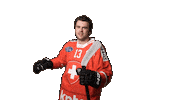 Celebrate National Team Sticker by Swiss Ice Hockey