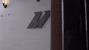 GIF by Mishimoto Automotive