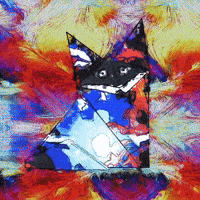 Dog Fox GIF by The LSD Hotel