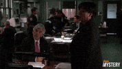 Law And Order Drama GIF by ION Mystery