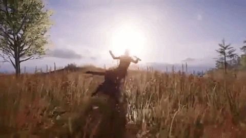 spear assassination GIF by Assassin's Creed
