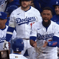 Los Angeles Dodgers GIF by MLB