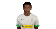 Mamadou Doucoure Bundesliga Sticker by Borussia Mönchengladbach