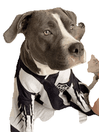 oliviamstaff olivia olivinha oliviaamstaff somostodosolivia Sticker