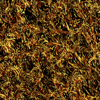 Brush Strokes Art GIF by xponentialdesign