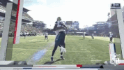 Jacksonville Jaguars Football GIF by NFL