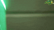North Dakota State Bison GIF by NDSU Athletics