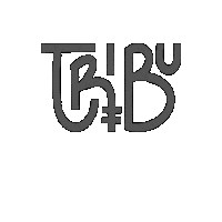 Sinergia_Tribu tribu sinergia sinergia tribu sinergiatribu Sticker