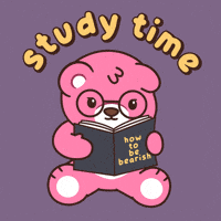 Studying Teddy Bear GIF by BEARISH