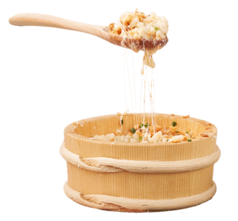 Coaster Allgäu Sticker by Alpsee Bergwelt