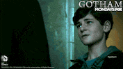 gotham GIF by Fox TV