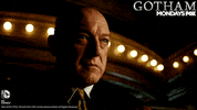 gotham GIF by Fox TV