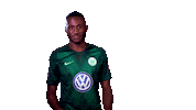 france football Sticker by VfL Wolfsburg