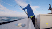 wicked tuna GIF by National Geographic Channel