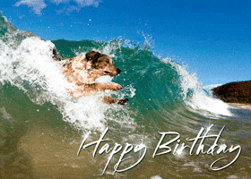 Happy Birthday Surf GIF