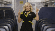 SpiritAirlines fly letsgo spirit spiritairlines GIF