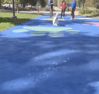 Drake Mascot GIF by DrakeUGriff