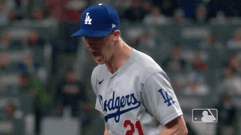 Yell Lets Go GIF by MLB