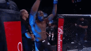 ufc 212 GIF