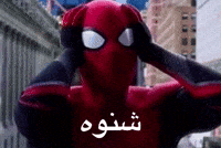 Spider Man Omg GIF