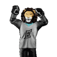 Hockey Vary Sticker by Tipsport extraliga