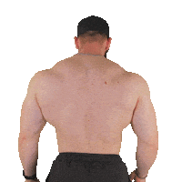 Fitness Flexing Sticker by Universal Nutrition Europe