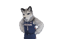 thinking think Sticker by UConn Huskies