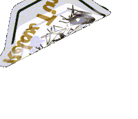 Travel 旅 Sticker by graniph