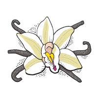 Zingrh2 Sticker by Zingerman's Deli