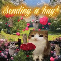 Hug GIF