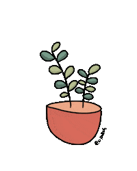 monpaloch plants garden cactus planta Sticker