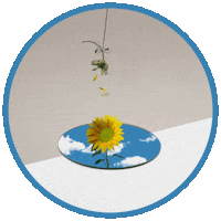 Sunflower Sticker by Jasmine Thompson