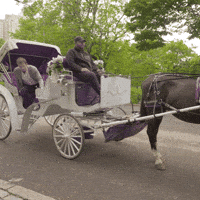 Elections Civics GIF by PBS