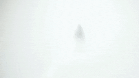 GIF by The Woman in the Yard