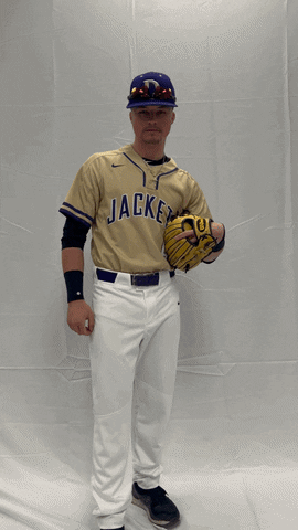Defibsb GIF by DefianceCollegeAthletics
