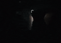 Music Video Lights GIF