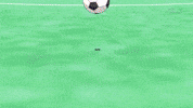 Inazuma Eleven Football GIF