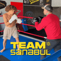 Mma GIF by Sanabul