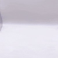 Cat Balloon GIF