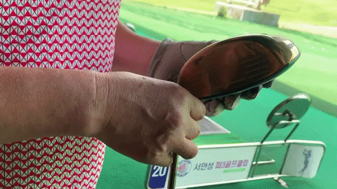 majorworld giphygifmaker GIF