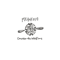 ctwf jewelry diamond nashville ring Sticker